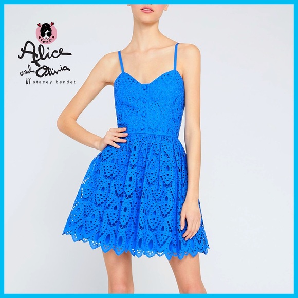 Alice + Olivia Nella Embroidered Blue Eyelet Flared Mini Dress - Picture 4 of 15